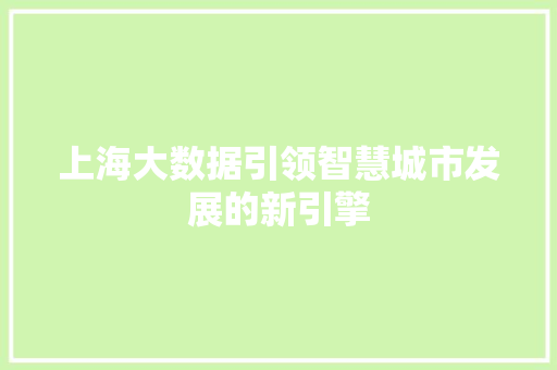 上海大数据引领智慧城市发展的新引擎