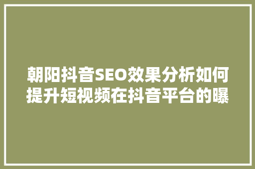朝阳抖音SEO效果分析如何提升短视频在抖音平台的曝光率