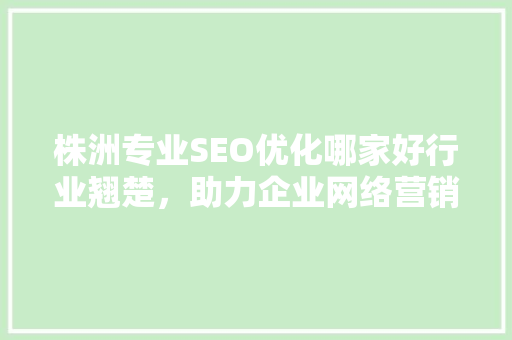 株洲专业SEO优化哪家好行业翘楚，助力企业网络营销腾飞