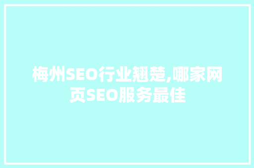 梅州SEO行业翘楚,哪家网页SEO服务最佳
