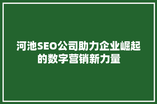 河池SEO公司助力企业崛起的数字营销新力量