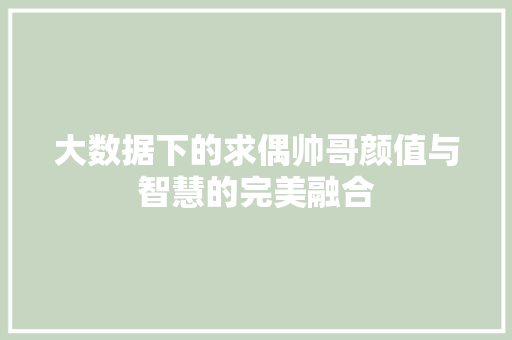 大数据下的求偶帅哥颜值与智慧的完美融合