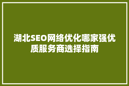 湖北SEO网络优化哪家强优质服务商选择指南