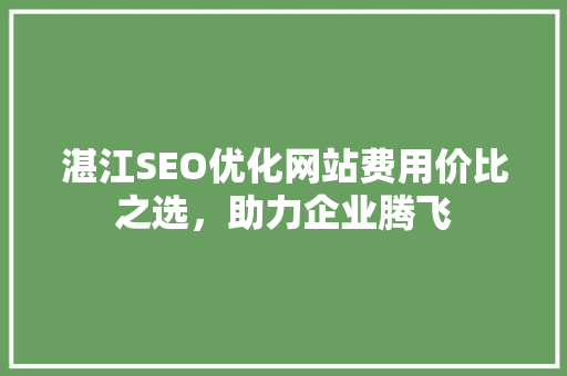 湛江SEO优化网站费用价比之选，助力企业腾飞