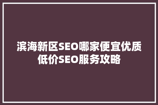 滨海新区SEO哪家便宜优质低价SEO服务攻略