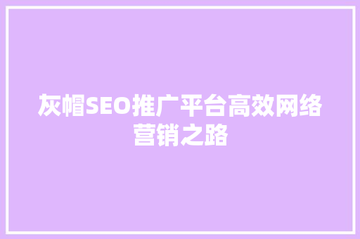 灰帽SEO推广平台高效网络营销之路