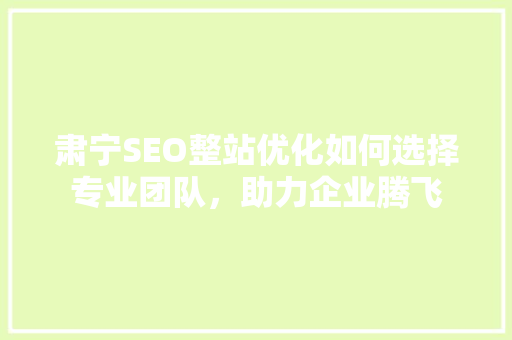 肃宁SEO整站优化如何选择专业团队，助力企业腾飞  第1张
