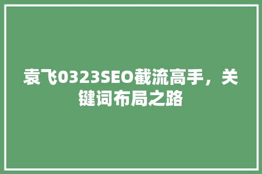 袁飞0323SEO截流高手，关键词布局之路