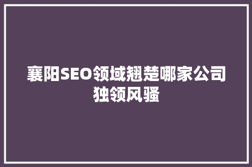 襄阳SEO领域翘楚哪家公司独领风骚