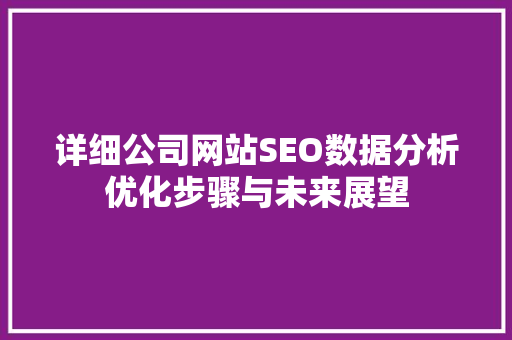 详细公司网站SEO数据分析优化步骤与未来展望