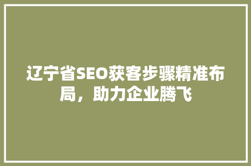 辽宁省SEO获客步骤精准布局，助力企业腾飞
