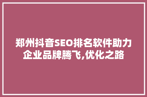 郑州抖音SEO排名软件助力企业品牌腾飞,优化之路