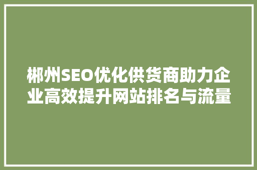 郴州SEO优化供货商助力企业高效提升网站排名与流量