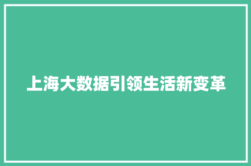 上海大数据引领生活新变革