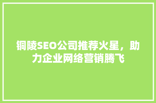 铜陵SEO公司推荐火星，助力企业网络营销腾飞