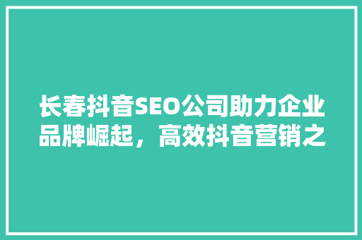 长春抖音SEO公司助力企业品牌崛起，高效抖音营销之路  第1张