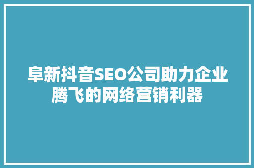阜新抖音SEO公司助力企业腾飞的网络营销利器