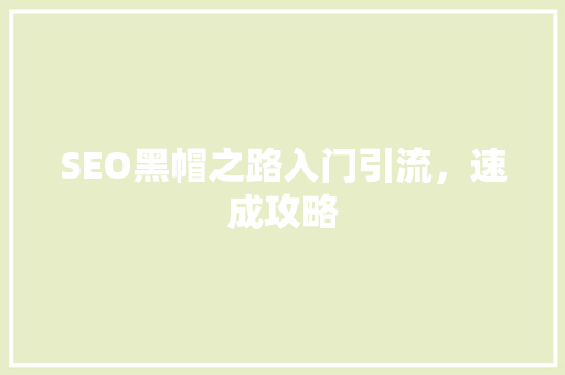 SEO黑帽之路入门引流，速成攻略