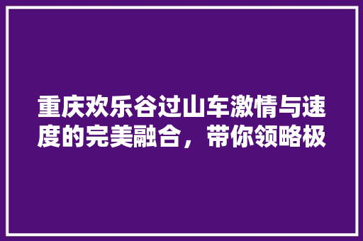 重庆欢乐谷过山车激情与速度的完美融合，带你领略极致快感