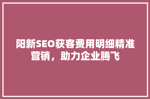 阳新SEO获客费用明细精准营销，助力企业腾飞
