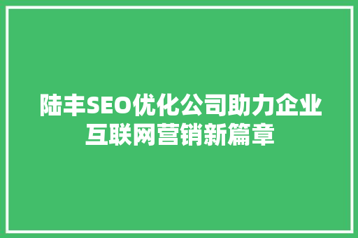 陆丰SEO优化公司助力企业互联网营销新篇章