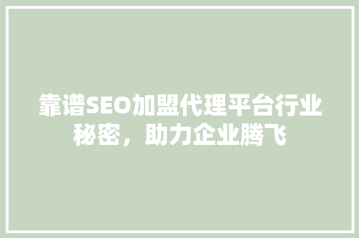 靠谱SEO加盟代理平台行业秘密，助力企业腾飞
