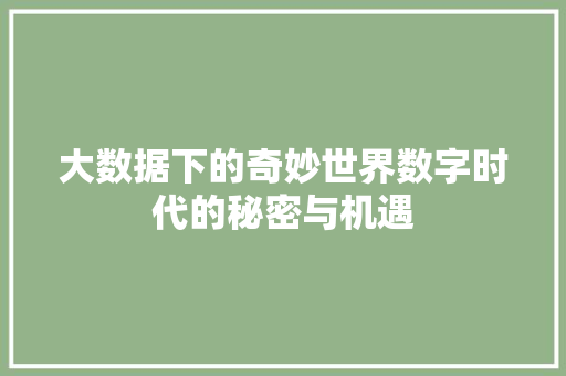 大数据下的奇妙世界数字时代的秘密与机遇  第1张