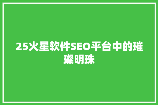 25火星软件SEO平台中的璀璨明珠