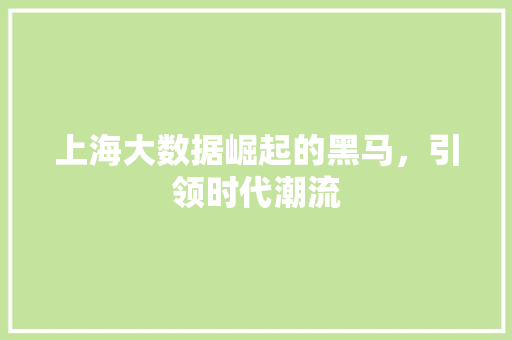 上海大数据崛起的黑马，引领时代潮流
