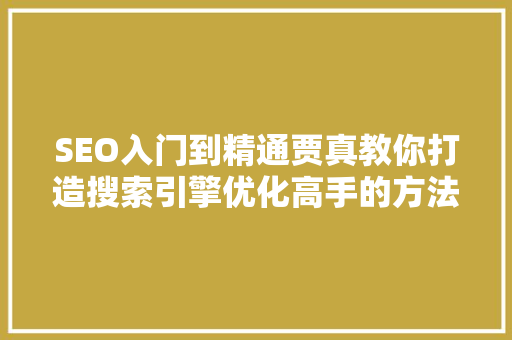 SEO入门到精通贾真教你打造搜索引擎优化高手的方法