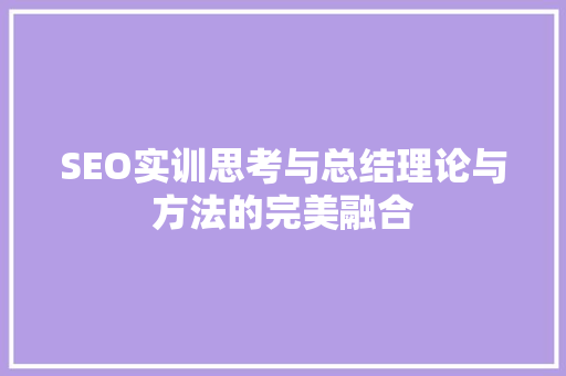 SEO实训思考与总结理论与方法的完美融合