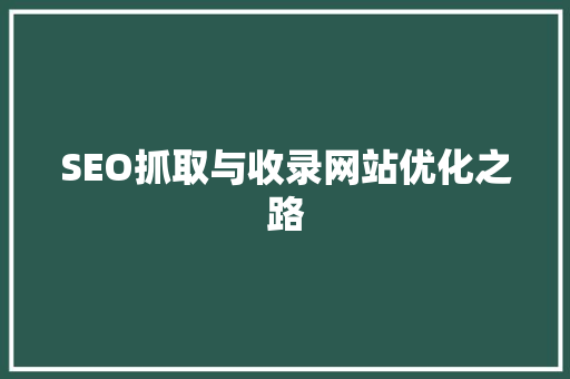 SEO抓取与收录网站优化之路