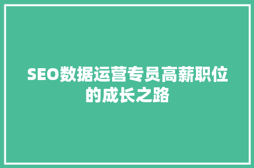 SEO数据运营专员高薪职位的成长之路