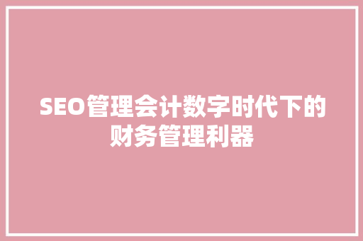 SEO管理会计数字时代下的财务管理利器
