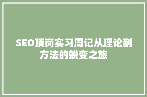 SEO顶岗实习周记从理论到方法的蜕变之旅