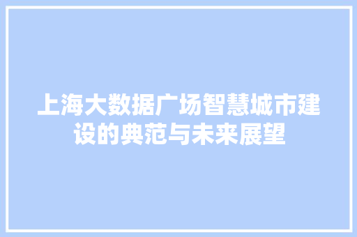 上海大数据广场智慧城市建设的典范与未来展望