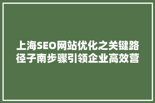 上海SEO网站优化之关键路径子南步骤引领企业高效营销