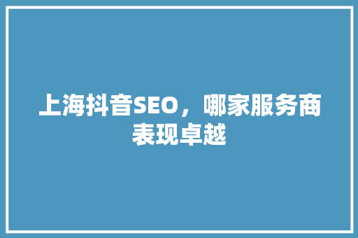 上海抖音SEO，哪家服务商表现卓越