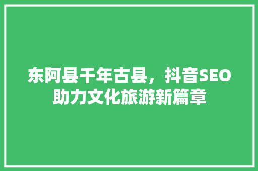 东阿县千年古县，抖音SEO助力文化旅游新篇章