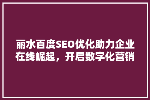 丽水百度SEO优化助力企业在线崛起，开启数字化营销新篇章