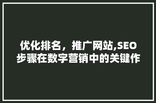优化排名，推广网站,SEO步骤在数字营销中的关键作用