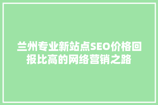 兰州专业新站点SEO价格回报比高的网络营销之路