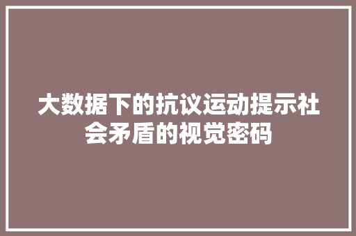 大数据下的抗议运动提示社会矛盾的视觉密码