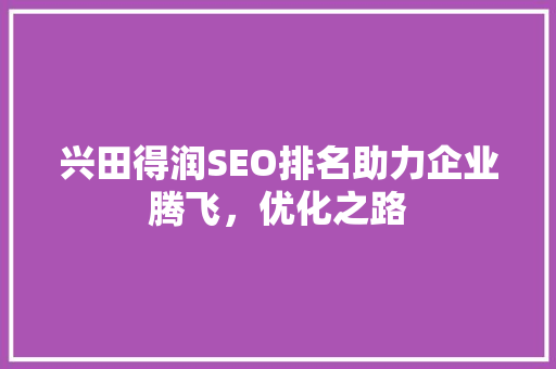 兴田得润SEO排名助力企业腾飞，优化之路  第1张