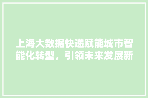 上海大数据快递赋能城市智能化转型，引领未来发展新篇章
