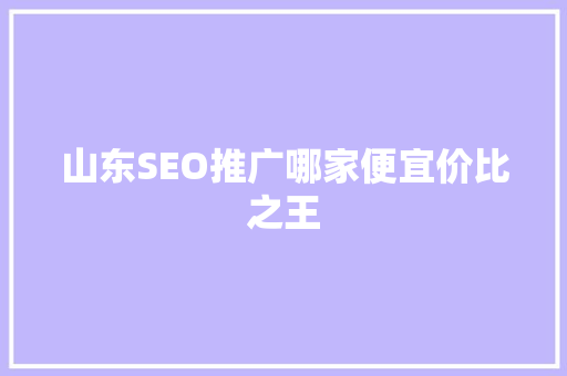 山东SEO推广哪家便宜价比之王