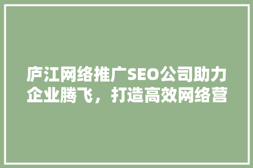 庐江网络推广SEO公司助力企业腾飞，打造高效网络营销步骤