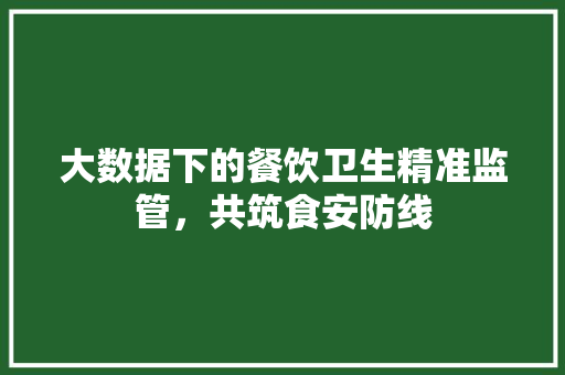 大数据下的餐饮卫生精准监管，共筑食安防线  第1张