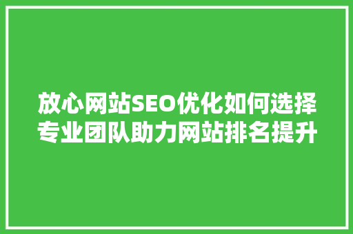 放心网站SEO优化如何选择专业团队助力网站排名提升