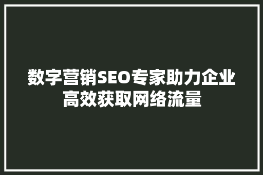 数字营销SEO专家助力企业高效获取网络流量